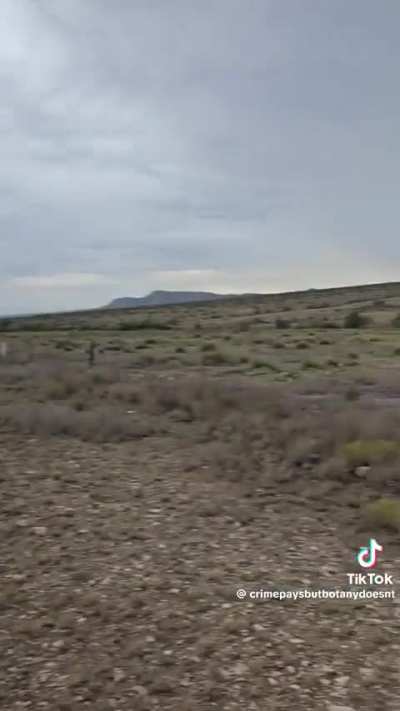 Most of the land in Texas is “owned”