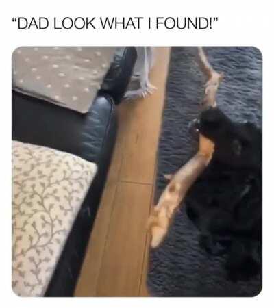 Dad look what ı found