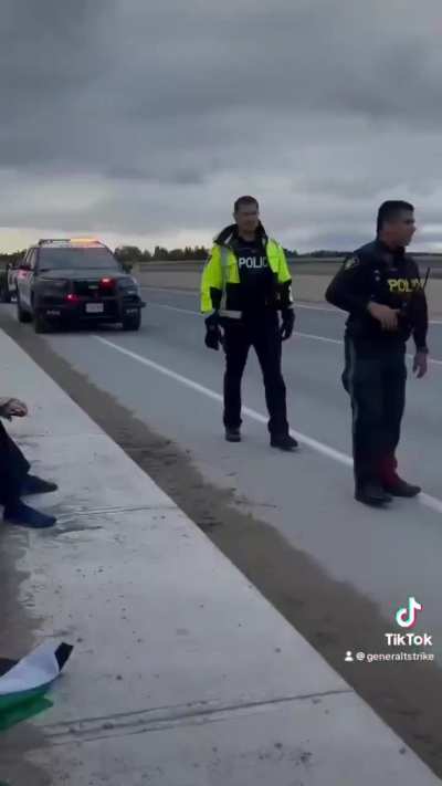 Rabid zionist Matan Ahlfeld parks his car with a child in it to attack pro Palestine demonstrators with a bat, gets beat and disarmed and promptly arrested.