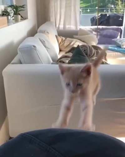 Almost had it little guy... Almost..