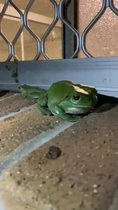 Most we’ve had is 7 at once but this is an average night