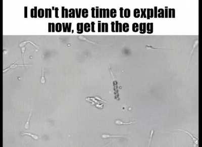 How it feels to go to brazil