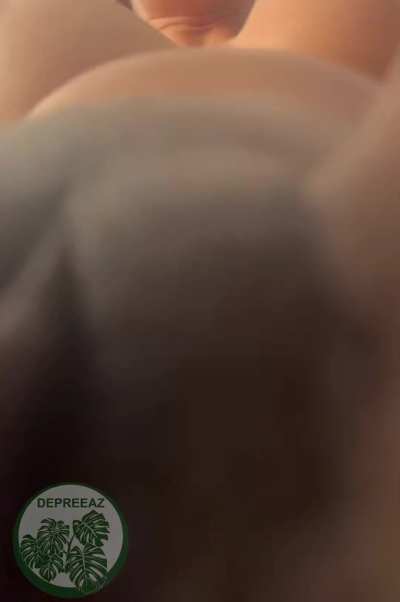 Christmas sure came early 