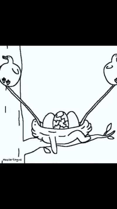 What the actual fuck