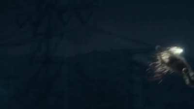 OTHER: Cheetah has arrived