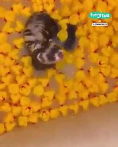 Relax, thats a wet cloth