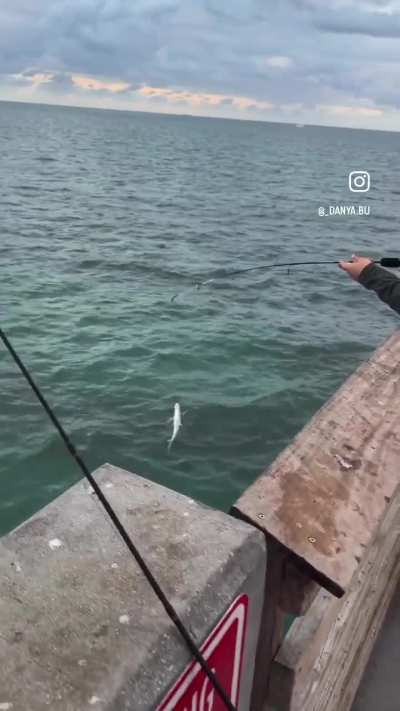 Waiting in the fast food line