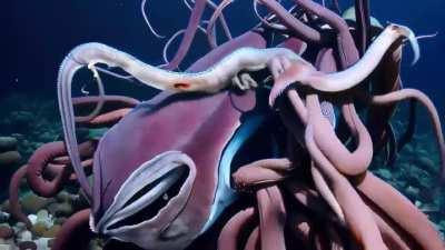 Serious competition for GEN-2: Zeroscope 2.0XL text - to - video with 1024х576 dimension