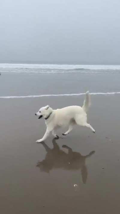 Walking out of work on Friday be like...