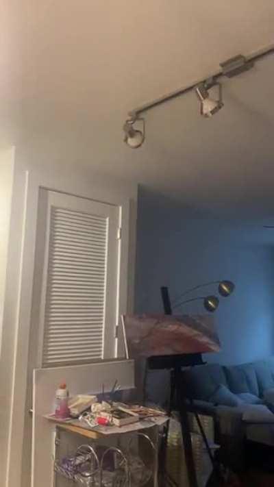 My upstairs neighbor who accuses me of banging on the ceiling of my luxury apartment.