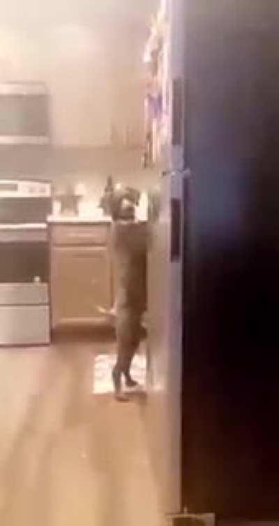 When Caught. Act Normal