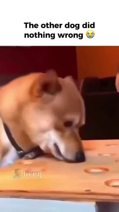 He needs personal space apparently...