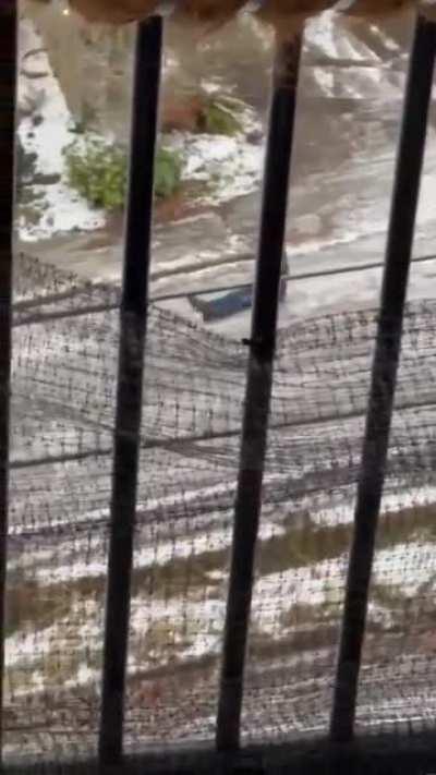 Ice storm in Seattle