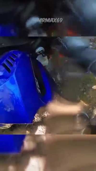 Deer jumped in front of bike 