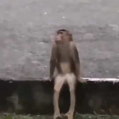 You didn’t have to do me like that 😔😔