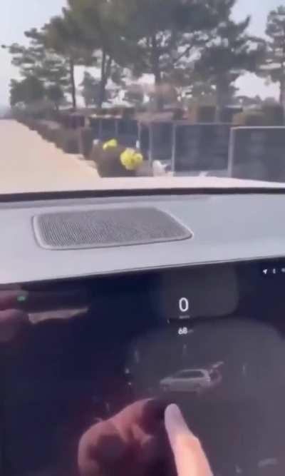 Car Is Detecting Entities In a Graveyard