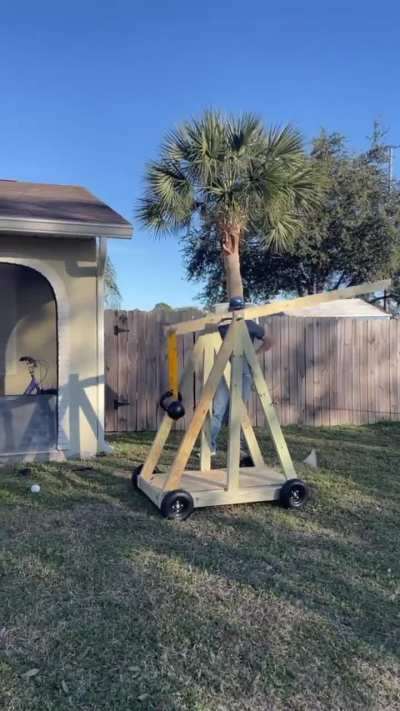 Trebuchet build