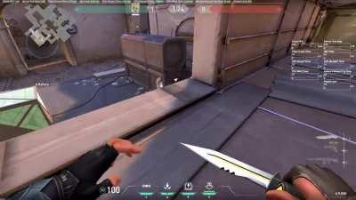 Found this sova bug today