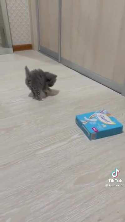 She‘s so playful!!