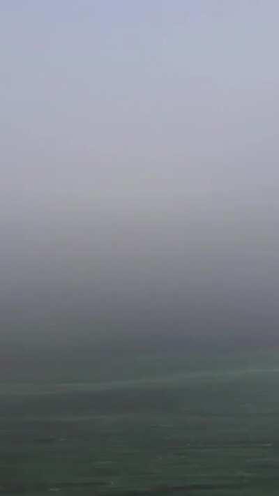 Extreme fog + pollen on the water= boating in a different planet