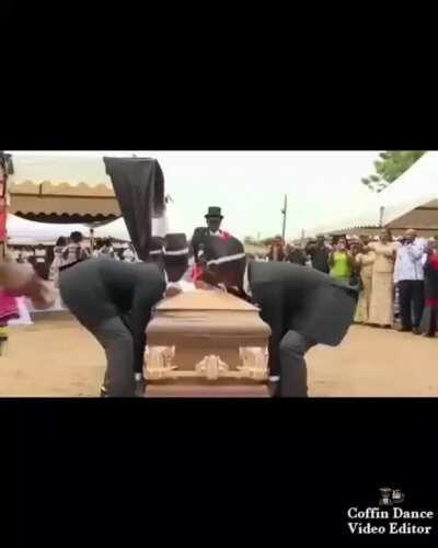 Clumsy doggy - Coffin Dance Meme