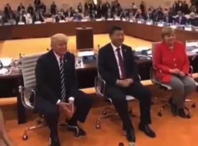 Little Ping is new to a modern rolling chair