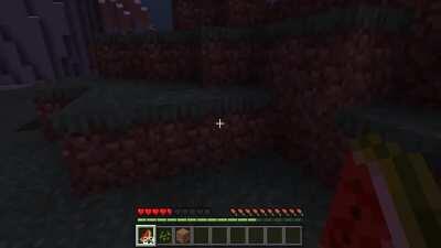 Flying manta ray claims a victim