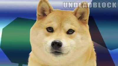 le High quality but unfunny/overused joke has arrived