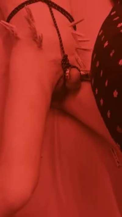 Chastity Nipple Clamps Submissive Porn GIF by mistresserinia