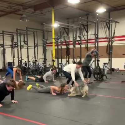 HMK as I exercise with human!