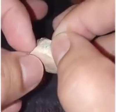 Lots of protein in one tiny bite