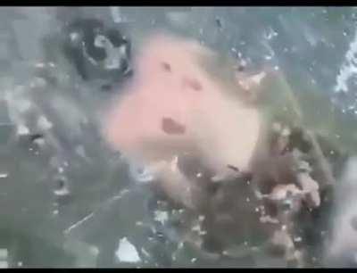 Goes ice diving without a diving rope, then loses track of the hole