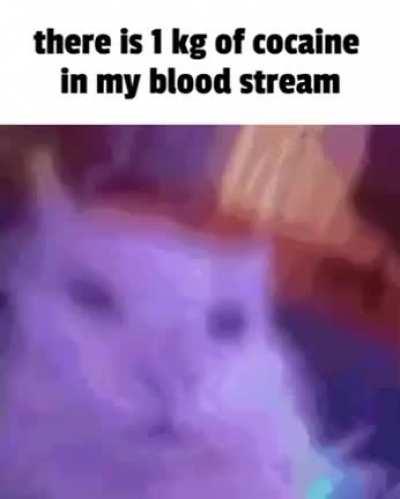 1 kg of cocaine in my bloodstream