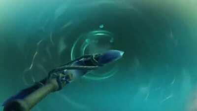 So I reanimated the Nautilus LoR level up animation