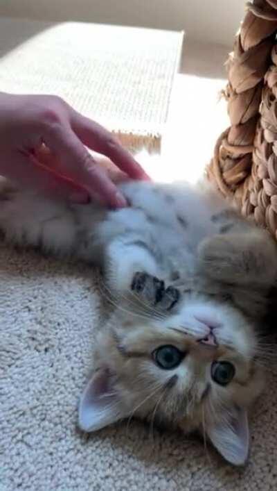 Belly rubs