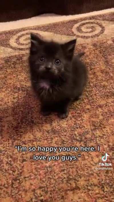 UPDATE: Happy end to Thanksgiving story! From @problyfake on TikTok