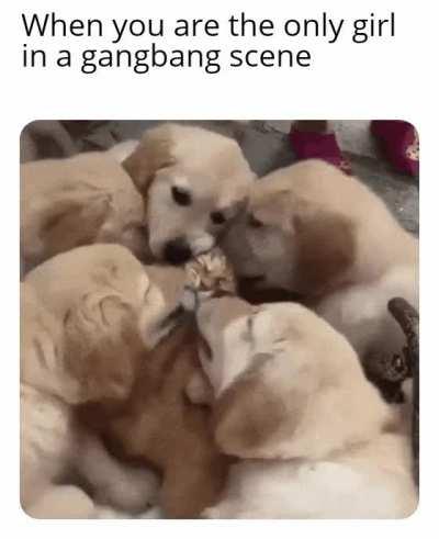 Look at the meme not at the title