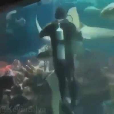 pescocofino - Video #2727