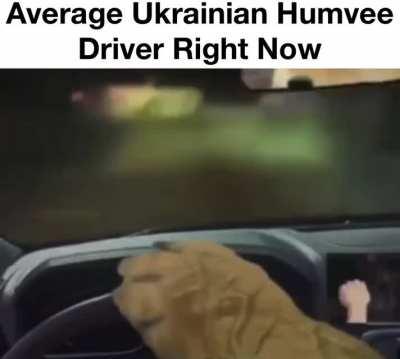 41 Settlements in 24 hours.