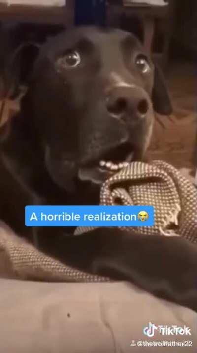 But..she said she was on the pill