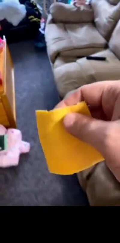 🧀🥵👶
