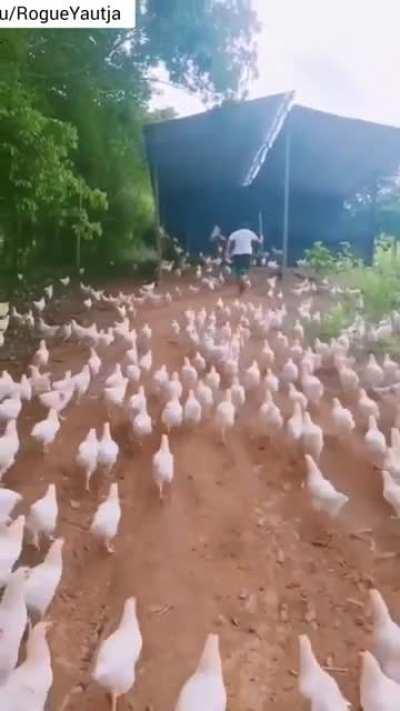 (O)nly Army that (C)ould defeat Sauron