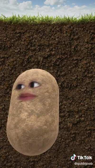 Skit. But this acting