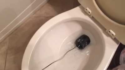 Went to the depths of hell to find this one for yall.