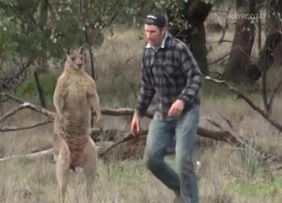 Video proof of the latest Conor McGregor allegation surfaces.