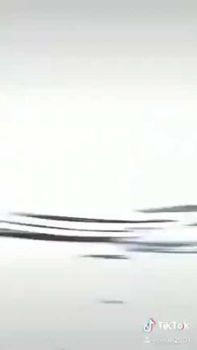 Taking a selfie near train tracks