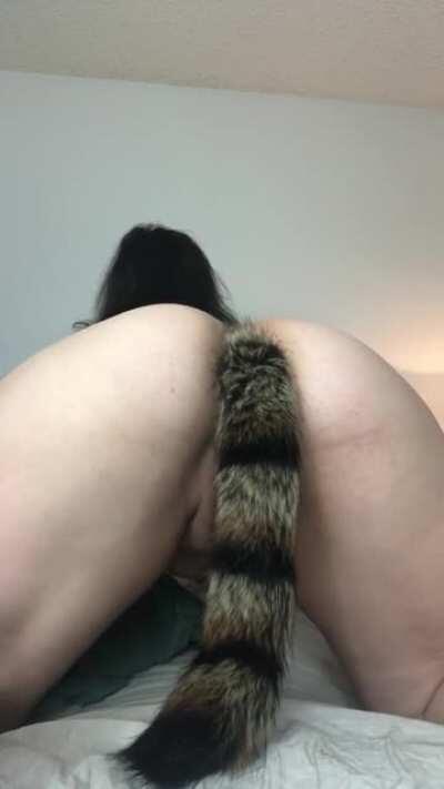 Any fans of tail plugs?