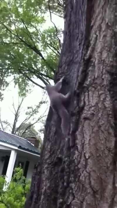 Totally wasn’t expecting that...