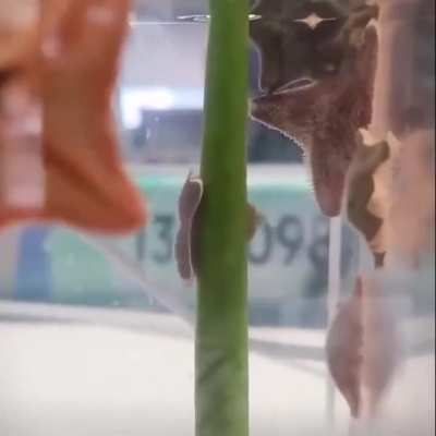 It’s Wet Wunk Wednesday