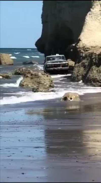 Ill be freaking out of this happens in front of me 😆